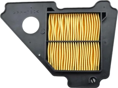 Immagine prodotto di Filtro aria TECNIUM - MT201-OT028