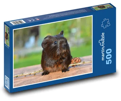 Obrázok produktu pre Puzzle 500 Morča a šiška - martinpuzzle