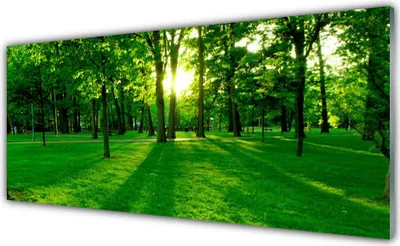 Produktbild von Glasbilder 125x50 Wandbild Druck auf Glas Wald Natur