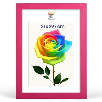 Produktbild von MG Design Bilderrahmen Rosa A4 21x29,7 cm - Echtholzrahmen mit Acrylglas, hoch/quer, zum Aufhängen & Aufstellen