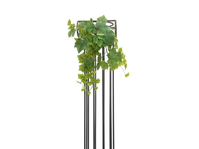 Obrázek produktu pro EUROPALMS Vinná réva Premium, umělá, 50 cm (82502513)