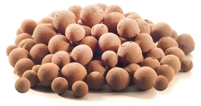 Image de Plagron Argile expansée Euro Pebbles 10L pour hydroculture