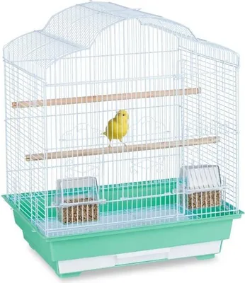 Immagine prodotto di Gabbia per uccelli con accessori