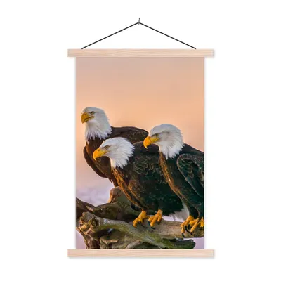 Produktbild von MuchoWow® Textilposter Vögel - Natur - Raubvögel - Adler 60x90 cm mit holzfarbenen Rahmen - Textil