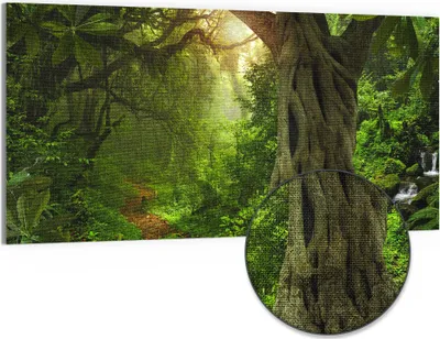 Produktbild von DEQORI Hybrid Leinwand Bild 100x50 cm 'Urwaldgeheimnis' Wandbild Glas flach modern