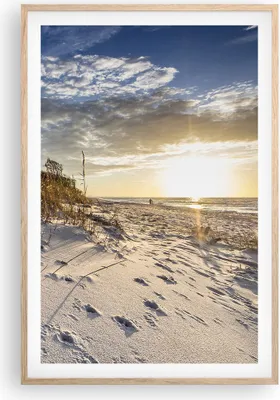 Produktbild von Gerahmtes Poster - Rahmen in heller Eiche - Sand Gras Meer - 61x91,5 cm - Wand Bild - Wanddeko - Wandbilder - Kunstposter - Wandposter - Bilderrahmen - Bilder - Kunstdruck - P2NPA61x91-4781