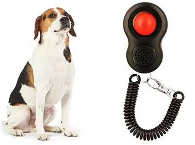 Immagine prodotto di CHPN - Clicker - Addestratore cinofilo - Addestramento cani - Addestramento cani rispettoso degli animali - Clicker - Nero/Rosso - Universale - Addestramento cuccioli