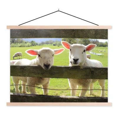 Produktbild von MuchoWow® Textilposter Schafe - Tiere - Bauernhof 60x45 cm mit holzfarbenen Rahmen - Bild