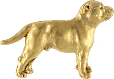 Produktbild von Staffordshire Bull Terrier, Staffordshire Bullterrier II - Vergoldete Brosche, eleganter Hundeschmuck, einzigartige Brosche der Marke Art-Dog
