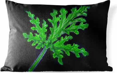 Produktbild von MuchoWow® Outdoor Kissen - Einzelne grüne Blätter auf schwarzem Hintergrund - 60x40 cm - Wetterfest - Lounge Kissen - Zierkissen - Kissen für Innenräume