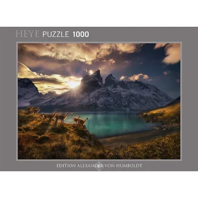 Produktbild von Heye - Guanacos Standard 1000 Teile