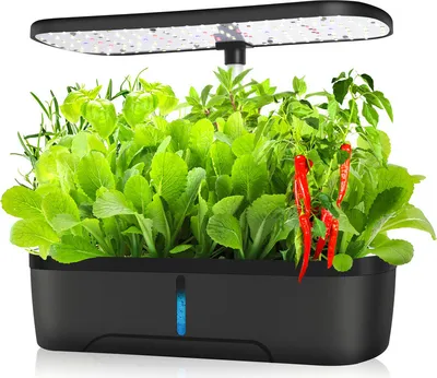 Image de Système de culture hydroponique avec LED Grow Light Timer Système de pompage Grand réservoir d'eau, Indoor 12 Herb Garden Kit, Noir