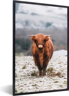 Produktbild von MuchoWow® Gerahmtes Poster Schottischer Highlander - Schnee - Berg 20x30 cm - Poster mit Schwarzem Bilderrahmen Wandposter Rahmen Foto Bilder - Drucken - Bilder Poster im Rahmen
