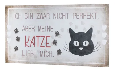 Produktbild von Wandbild 40x20cm Katze Spruch Deko Wandschild Katzenliebhaber Bild Wanddeko Deko
