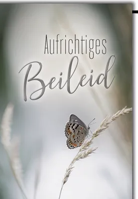 Produktbild von Trauer Aufrichtiges Beileid Schmetterling Kondolenz Beileidskarte mit Umschlag