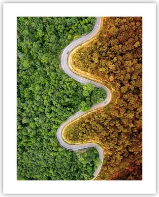 Produktbild von Poster - Poster ohne Rahmen - Luftaufnahmen Weg Wald - 40x50 cm - Wand Bild - Wanddeko - Wandbilder - Kunstposter - Wandposter - Bilder - Kunstdruck - Wanddekoration - Wandbild - P2XPA40x50-4659