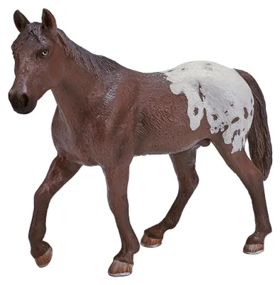 Image de Animal Planet Étalon Appaloosa Alezan