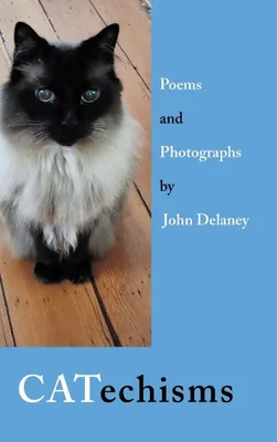 Produktbild von CATechisms