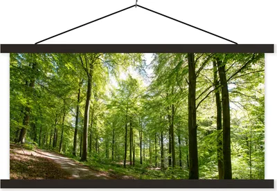 Produktbild von MuchoWow® Textilposter Wald - Sonne - Baum 120x60 cm mit schwarzem Rahmen - Dekoration Schlafzimmer