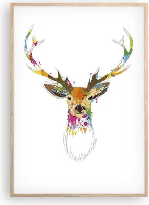 Produktbild von Gerahmtes Poster - Rahmen in heller Eiche - Deer fantasie Graffiti Grafik - 70x100 cm - Wand Bild - Wanddeko - Wandbilder - Wandposter - Bilderrahmen - Bilder - Kunstdruck - P2NPA70x100-3161