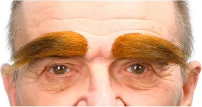 Zdjęcie produktu dla Mom Eyebrows Orange Pomarańczowy Jeden rozmiar
