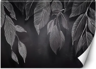 Produktbild von Vlies fototapete Minimalismus Blätter Pflanzen Schwarz und Weiß 450x315 cm Feeby Grau inkl. Kleber einfache Montage