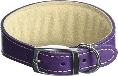 Produktbild von Famanu Hundehalsband Lila - Verstellbar Einheitsgröße - 3/4 x 10 bis 12 Zoll