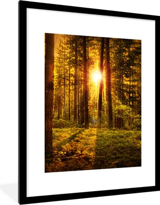Produktbild von MuchoWow® Gerahmtes Poster Wald - Sonne - Bäume - Natur - Sonnenuntergang 60x80 cm - Poster mit Schwarzem Bilderrahmen Wandposter Rahmen Foto Bilder - Wohnzimmer - Dekorationen - Prämie