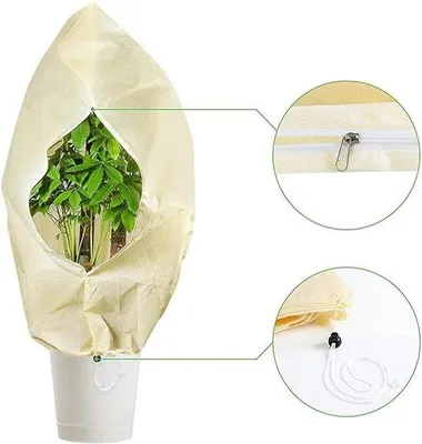 Immagine prodotto di Copertura fitosanitaria invernale
