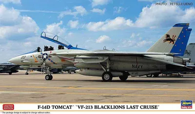 Productafbeelding van F-14D Tomcat, VF 213, Blacklions, laatste missie / 1:72