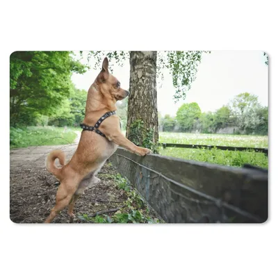 Produktbild von MuchoWow® Mauspad Mousepad Ein Chihuahua schaut über das Gras 27x18 cm - Mousepads - Maus Mat - Pad - Mausunterlage - Büroartikel - Desk Matten