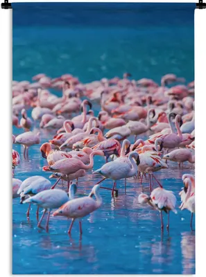 Produktbild von MuchoWow® Wandteppich Wandbehang Flamingo - Wasser - Tropisch - Rosa 60x90 cm Tapisserie Dekoration Wandtuch - Foto-Teppich - Abwaschbar