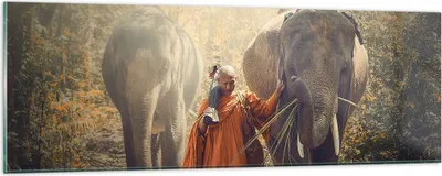 Produktbild von Bilder auf glas - Elefant Mönch Dschungel - 90x30cm - Glasbilder - Wandbilder - Kunstdruck - zum Aufhängen bereit - Wanddekoration aus Glas - Glas Bilder - Wandbild auf Glas - GAB90x30-3453