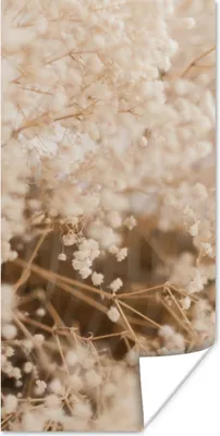 Produktbild von MuchoWow® Poster Pampasgras - Pflanze - Natur 60x120 cm - Wandschmuck
