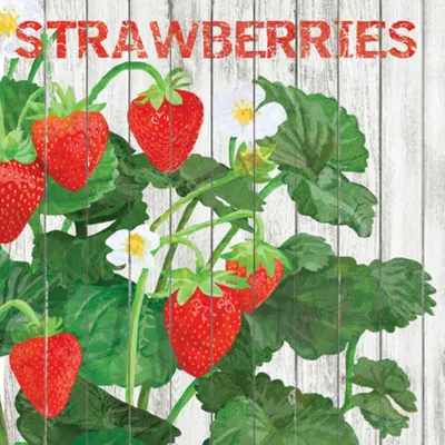 Produktbild von Servietten Harvest Strawberries 33 x 33 cm ppd 1332394