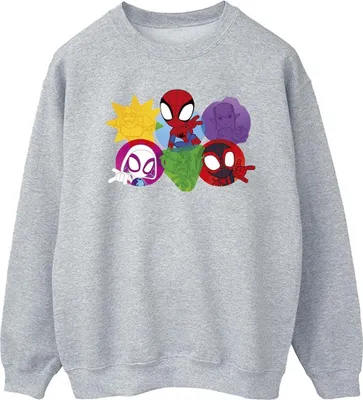 Produktbild von Marvel - "Spidey And His Amazing Friends" Sweatshirt für Herren BI44813 (S) (Grau)