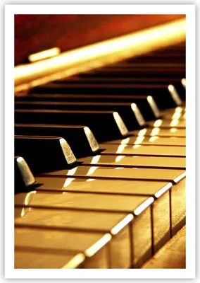 Produktbild von Poster - Poster ohne Rahmen - Klavier Musik Konzert - 70x100 cm - Wand Bild - Wanddeko - Wandbilder - Kunstposter - Wandposter - Bilder - Kunstdruck - Wanddekoration - Wandbild - P2XPA70x100-2200