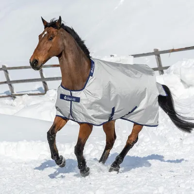 Produktbild von BUCAS Power Turnout Extra 300g Winterdecke Weidedecke Silver, Buc17_Gr.:145 cm