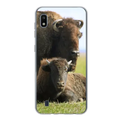 Produktbild von MuchoWow® Handyhülle Schutzhülle Hülle für Samsung Galaxy A10 Büffel - Gras - Kalb Silikon Softcase Handy Hülle - Schutzhülle