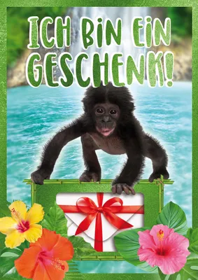 Produktbild von Geburtstag - Geldkarte - Flashlight - Soundkarte Musikkarte mit