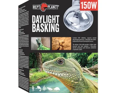 Obrázok produktu pre Repti Planet 007-41006, 150 W, 1 kusov, Box
