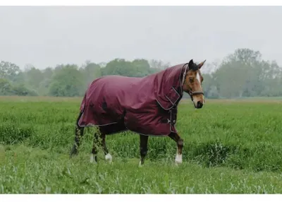 Zdjęcie produktu dla Equitheme 1200d Combo, 350g, czerwona, koc do wypasu, rozmiar 6'0" (czerwony), rozmiar 6'0" (czerwony)