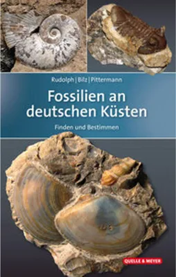 Obrázek produktu pro Fossilien an deutschen Küsten