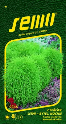 Obrázek produktu pro Cypřišek letní - Kochie 0,7g