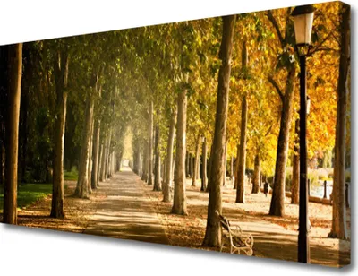 Produktbild von Tulup Leinwand-Bilder 100x50 Wandbild Canvas Kunstdruck Parkallee Landschaft