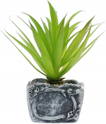 Produktbild von Künstliche Sukkulente im Topf 16cm - Mini Kunstpflanze Deko für Büro & Zuhause