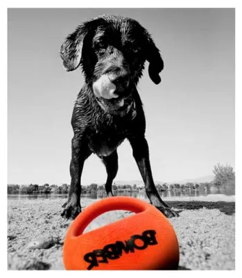 Produktbild von Durafoam Spielball für Hunde, 15 cm