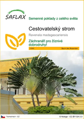 Obrázek produktu pro SAFLAX - Cestovatelský strom - Ravenala madagascariensis - 8 Semena