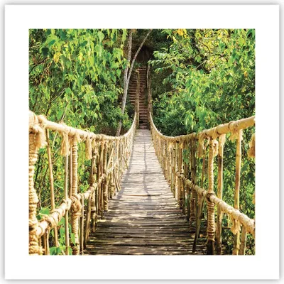Produktbild von Poster - Poster ohne Rahmen - Brücke Seil Dschungel - 40x40 cm - Wand Bild - Wanddeko - Wandbilder - Kunstposter - Wandposter - Bilder - Kunstdruck - Wanddekoration - Wandbild - P2XAC40x40-4319