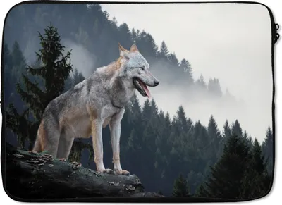 Produktbild von MuchoWow® Laptop Hülle 13 Zoll Wolf - Tier - Wald Laptoptasche - Laptophülle - Sleeve - Rundumschutz